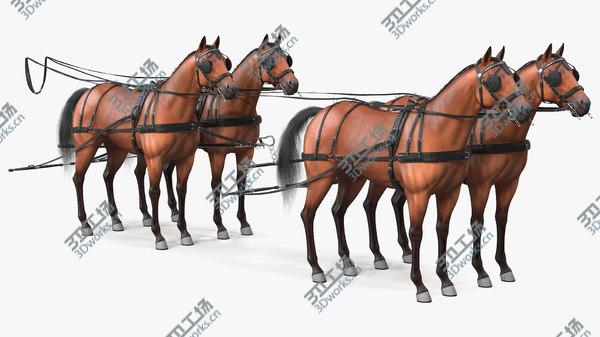 images/goods_img/20210312/3D Team of Four Breast Collar Harness Fur model/2.jpg